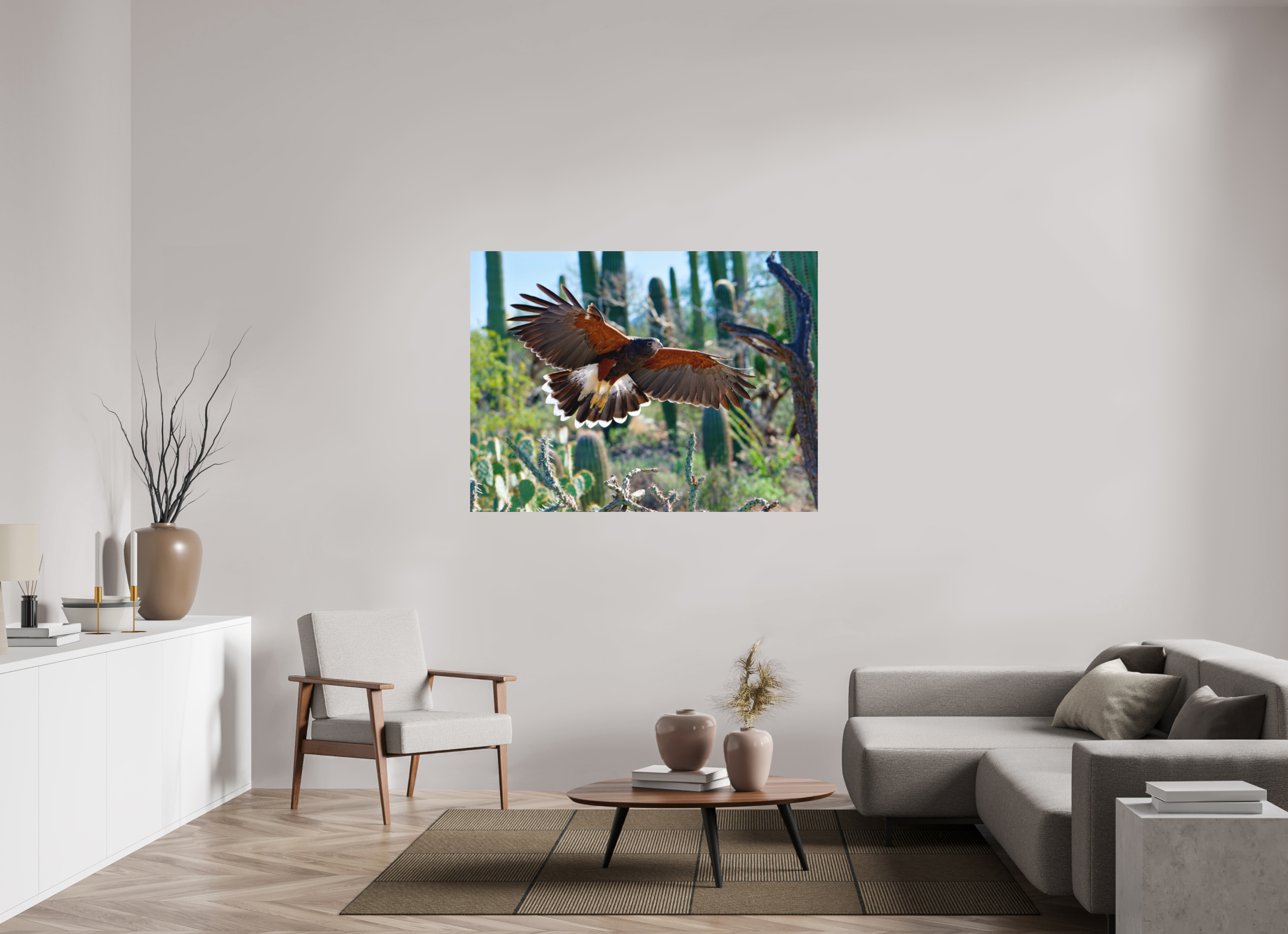 56 x 42″, Fuji Crystal Archive, matte Harris's Hawk Gliding