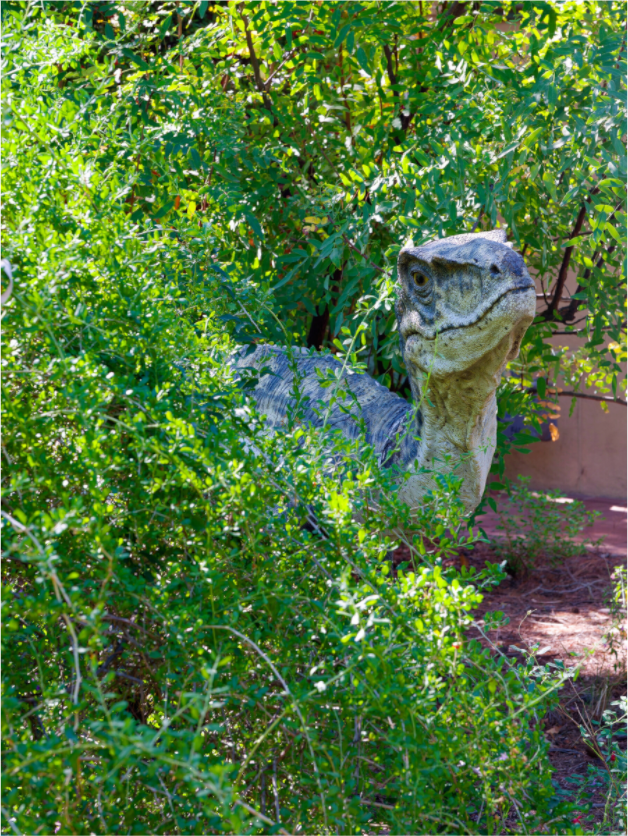 Main image Clever Girl