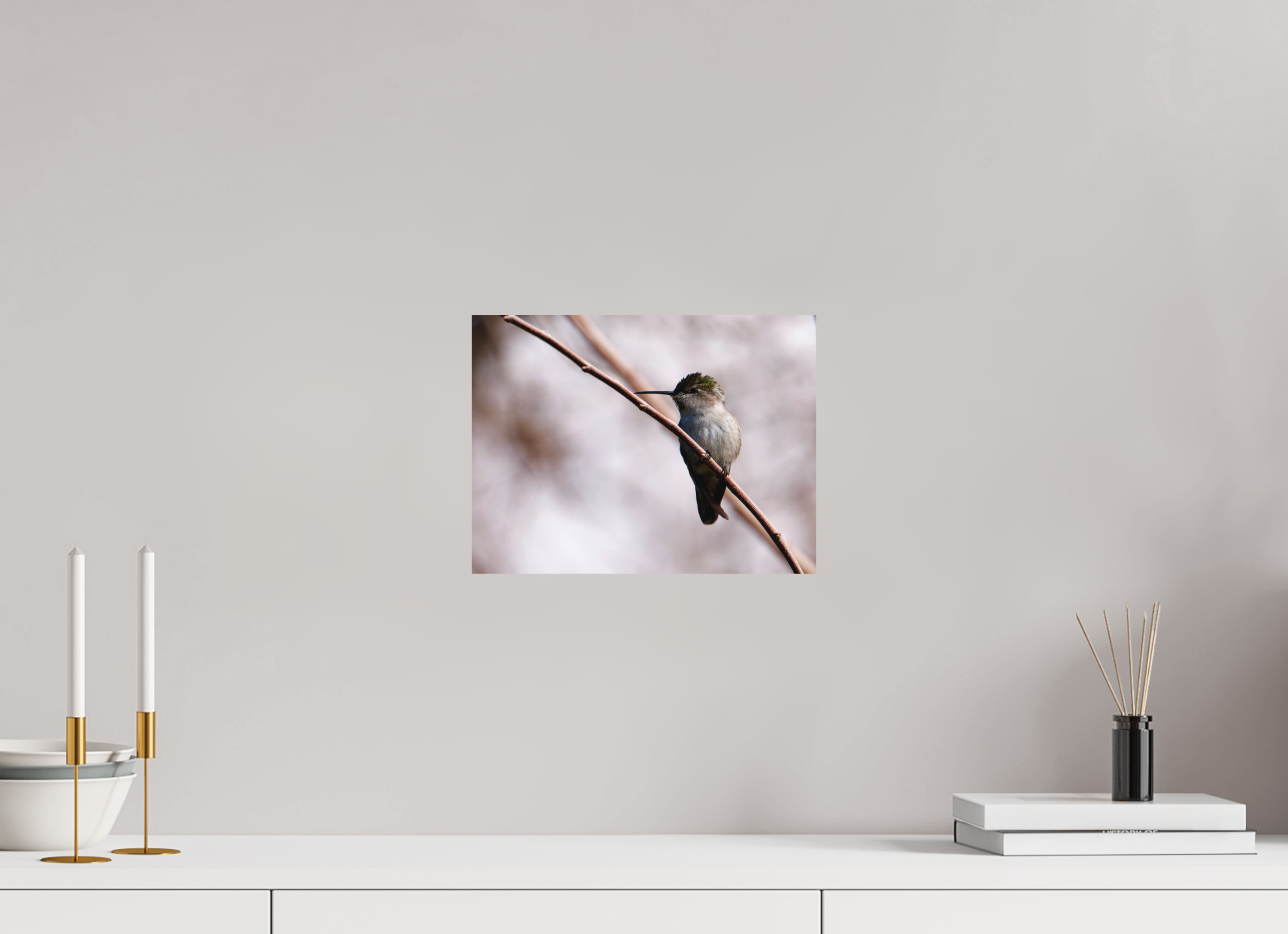 12 x 9″, Fuji Crystal Archive, matte Costa's Hummingbird Wide