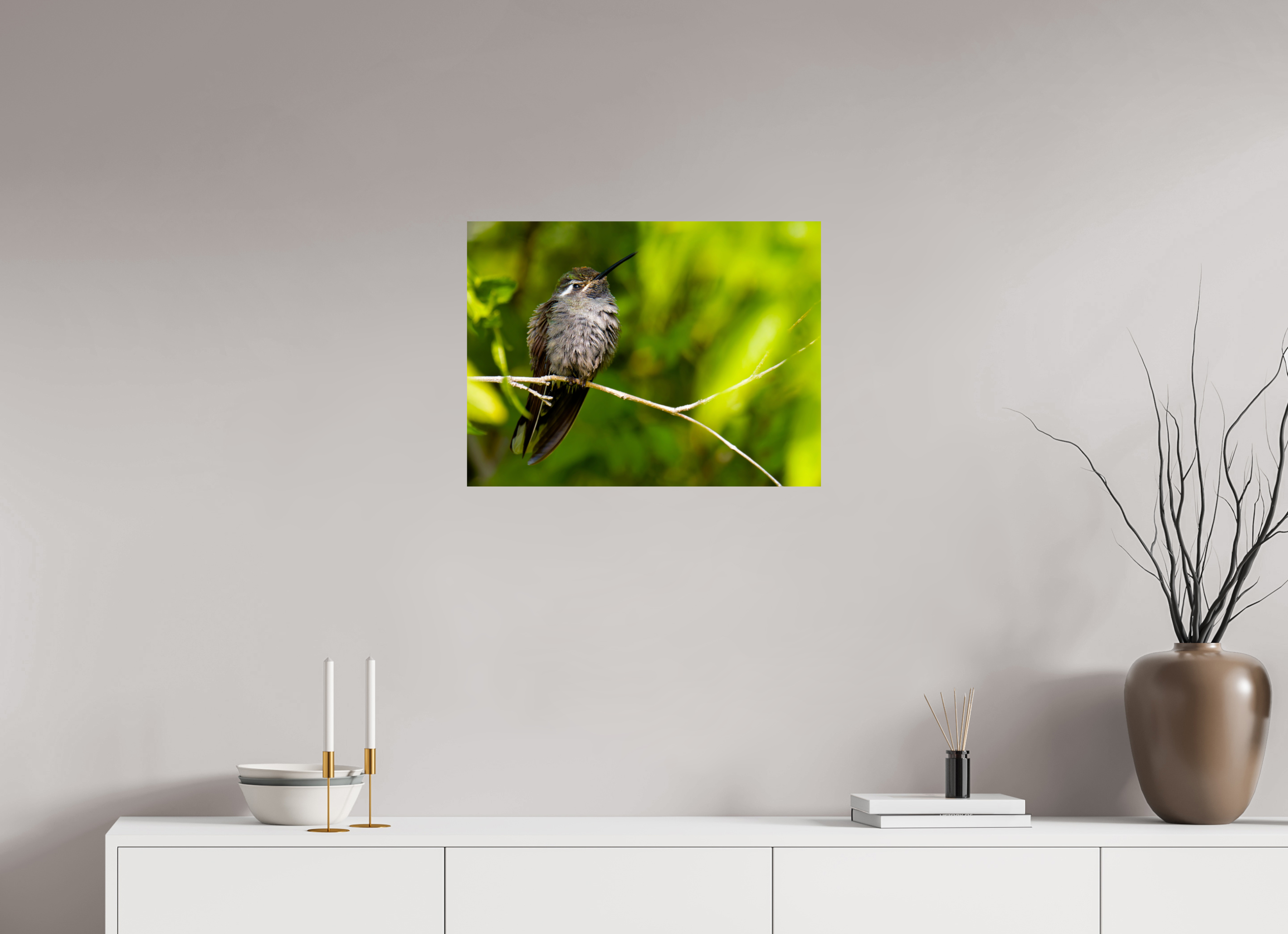 24 x 18″, Metalic Photo Print on Fuji Crystal Pearl Blue Throated Mountain Gem Hummingbird in a Bush