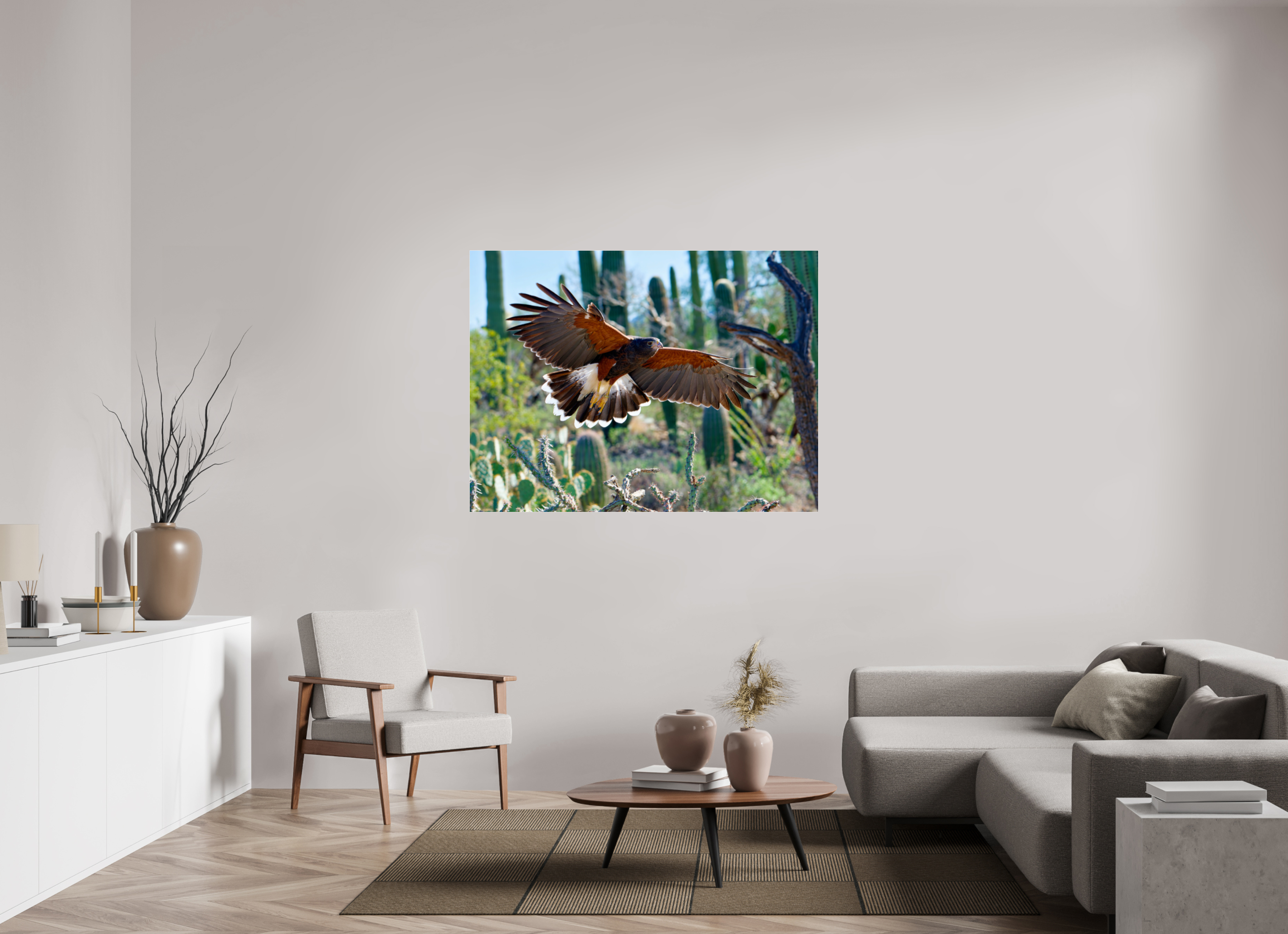 56 x 42″, Photo Print Under Acrylic Glass Harris's Hawk Gliding