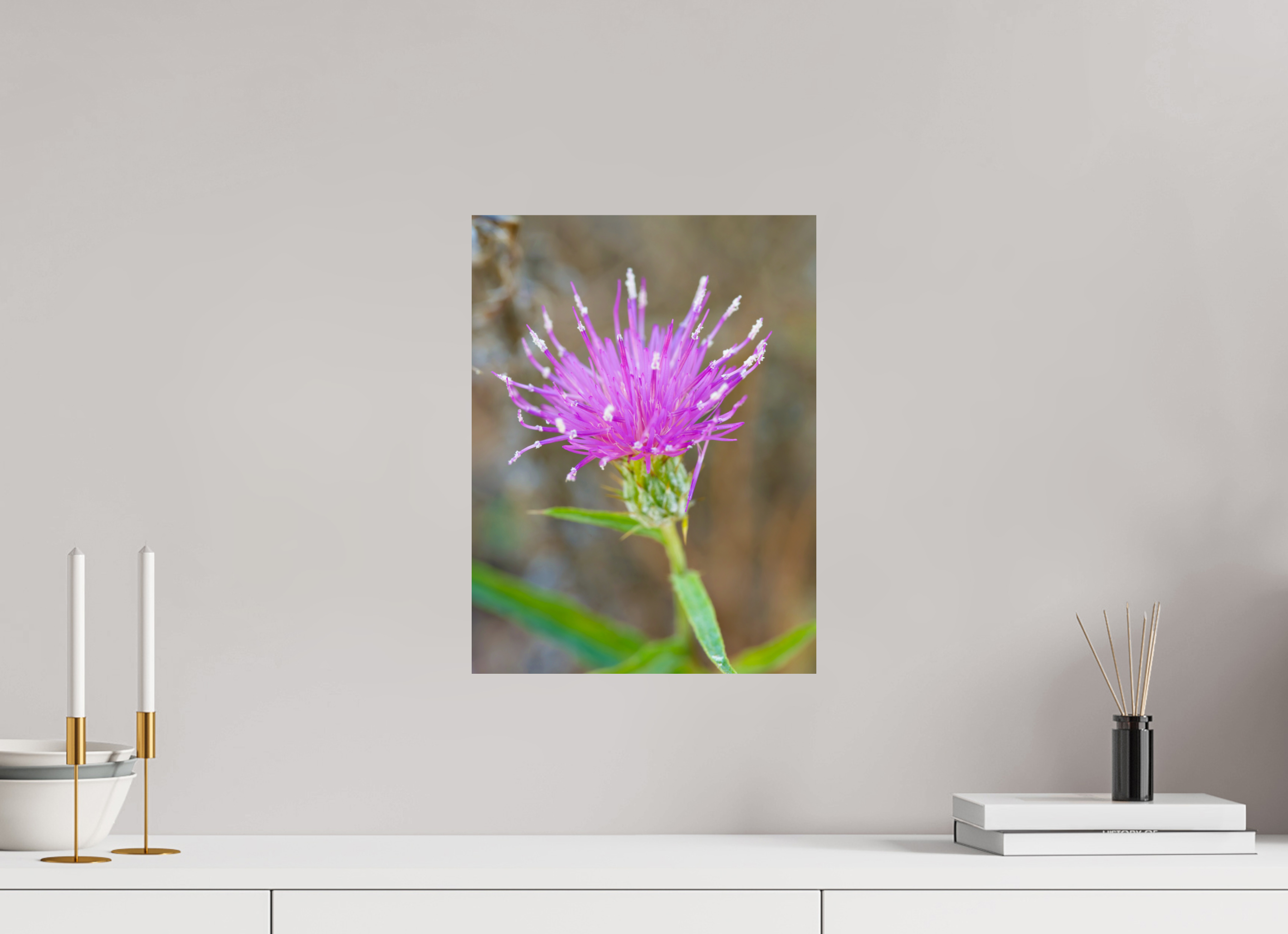 12 x 16″, Metalic Photo Print on Fuji Crystal Pearl Purple Thistle