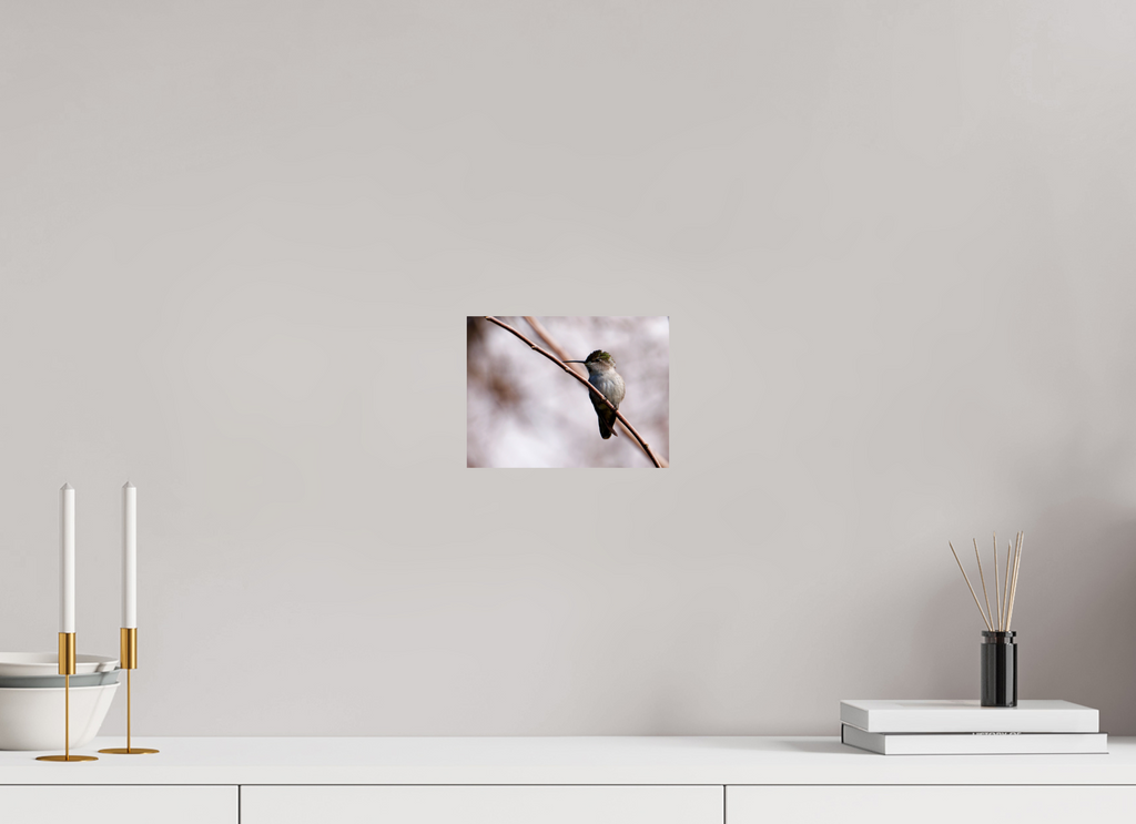 8 x 6″, Photo Print On Fuji Crystal DP II Costa's Hummingbird Wide