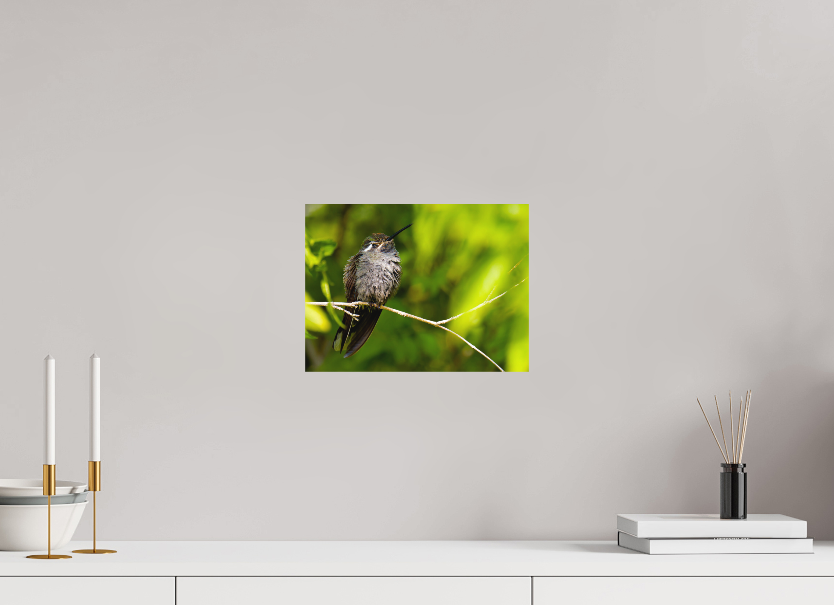 12 x 9″, Fuji Crystal Archive, matte Blue Throated Mountain Gem Hummingbird in a Bush