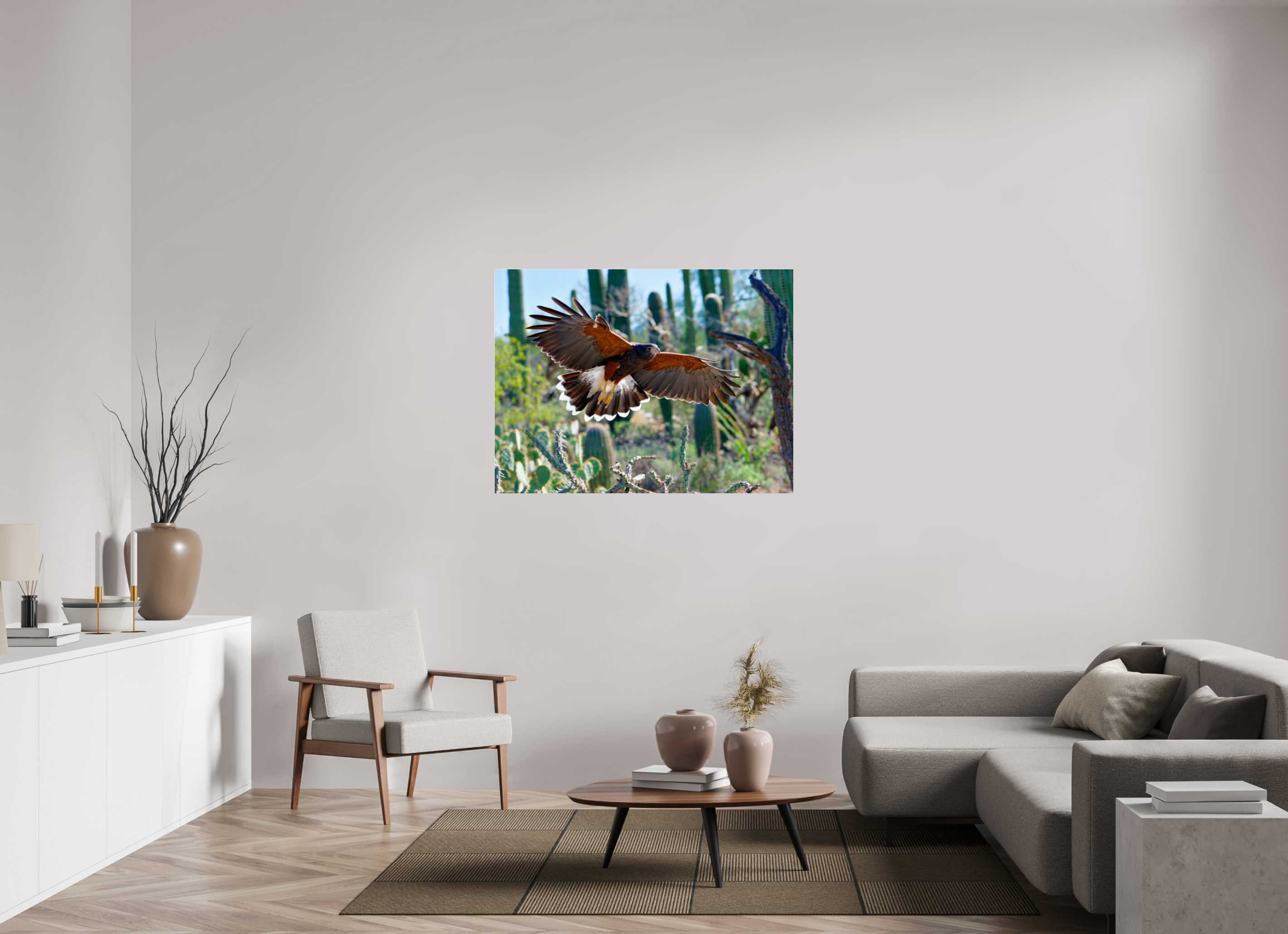 48 x 36″, Photo Print Under Acrylic Glass Harris's Hawk Gliding