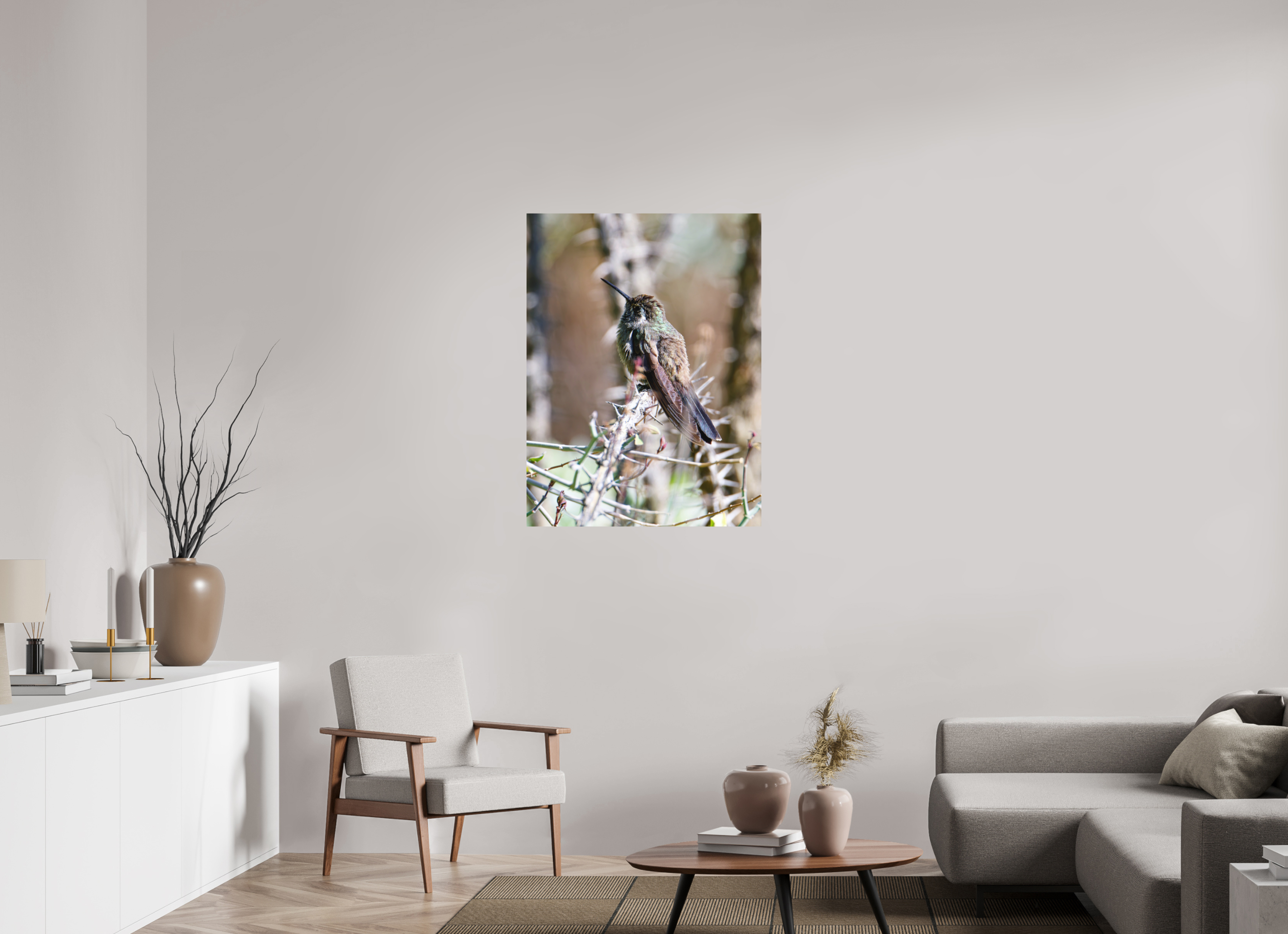 30 x 40″, Fuji Crystal Archive, matte Blue Throated Mountain Gem Hummingbird resting on an Ocotillo