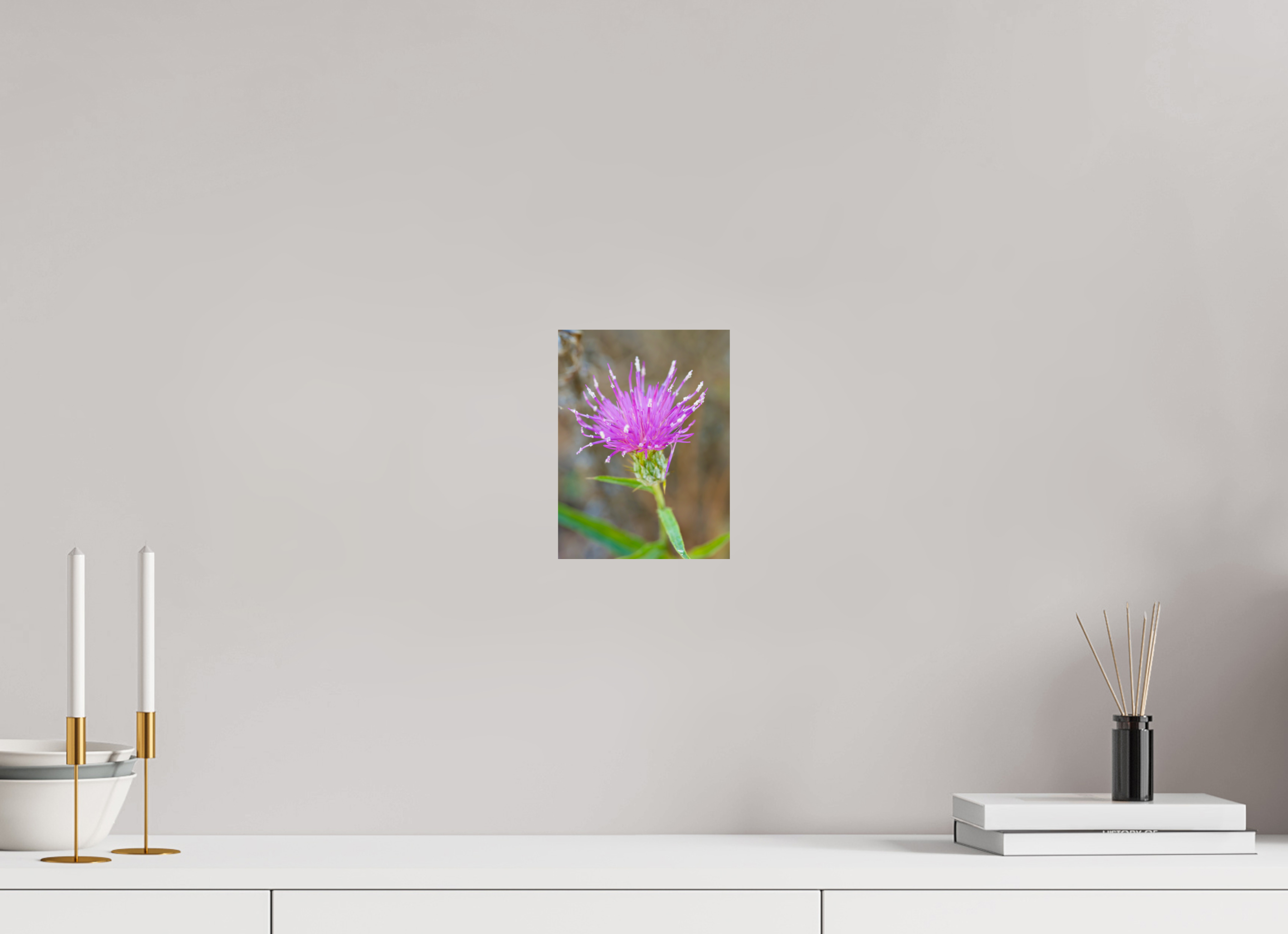 6 x 8″, Metalic Photo Print on Fuji Crystal Pearl Purple Thistle