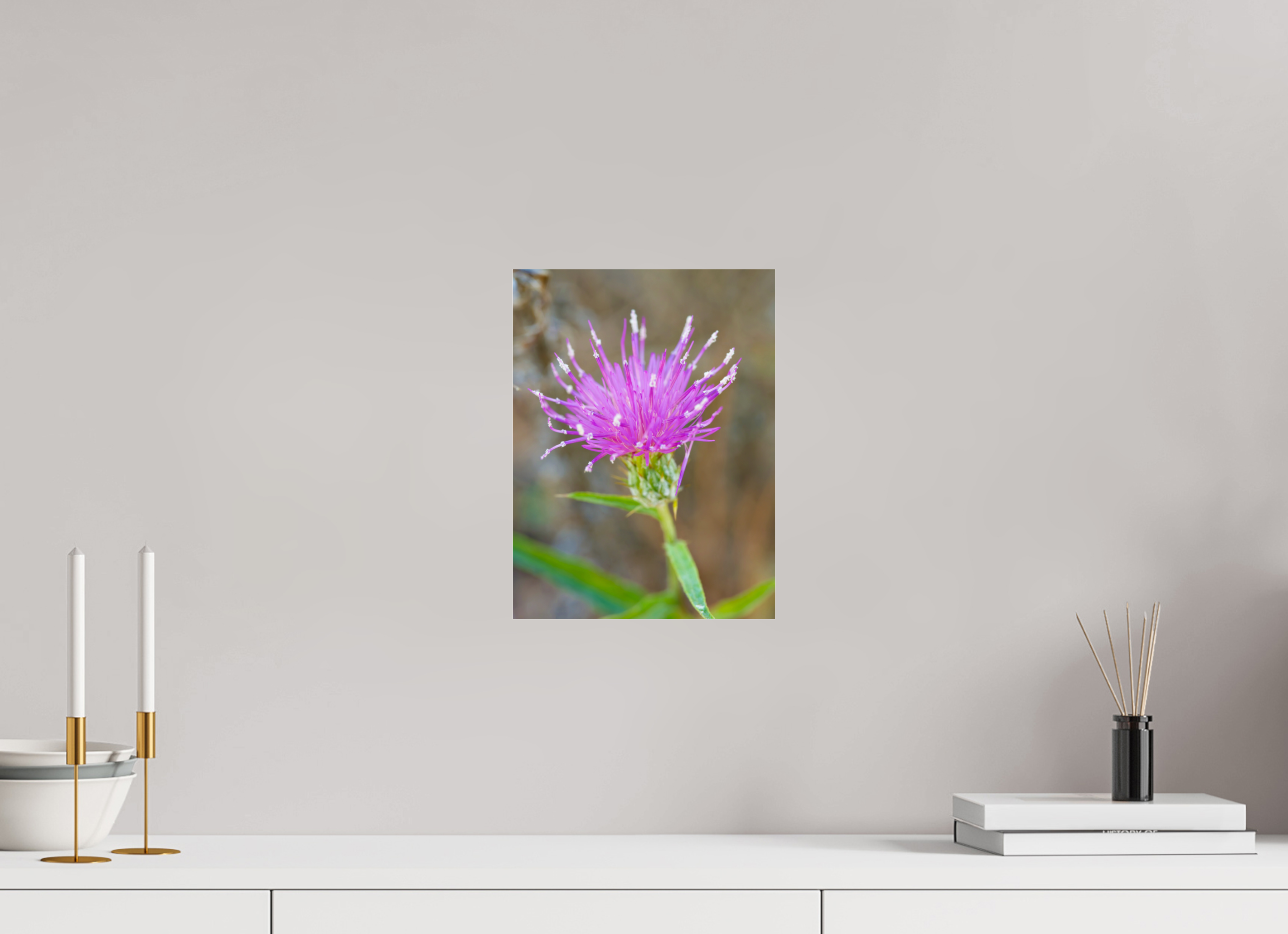 9 x 12″, Photo Print Under Acrylic Glass Purple Thistle