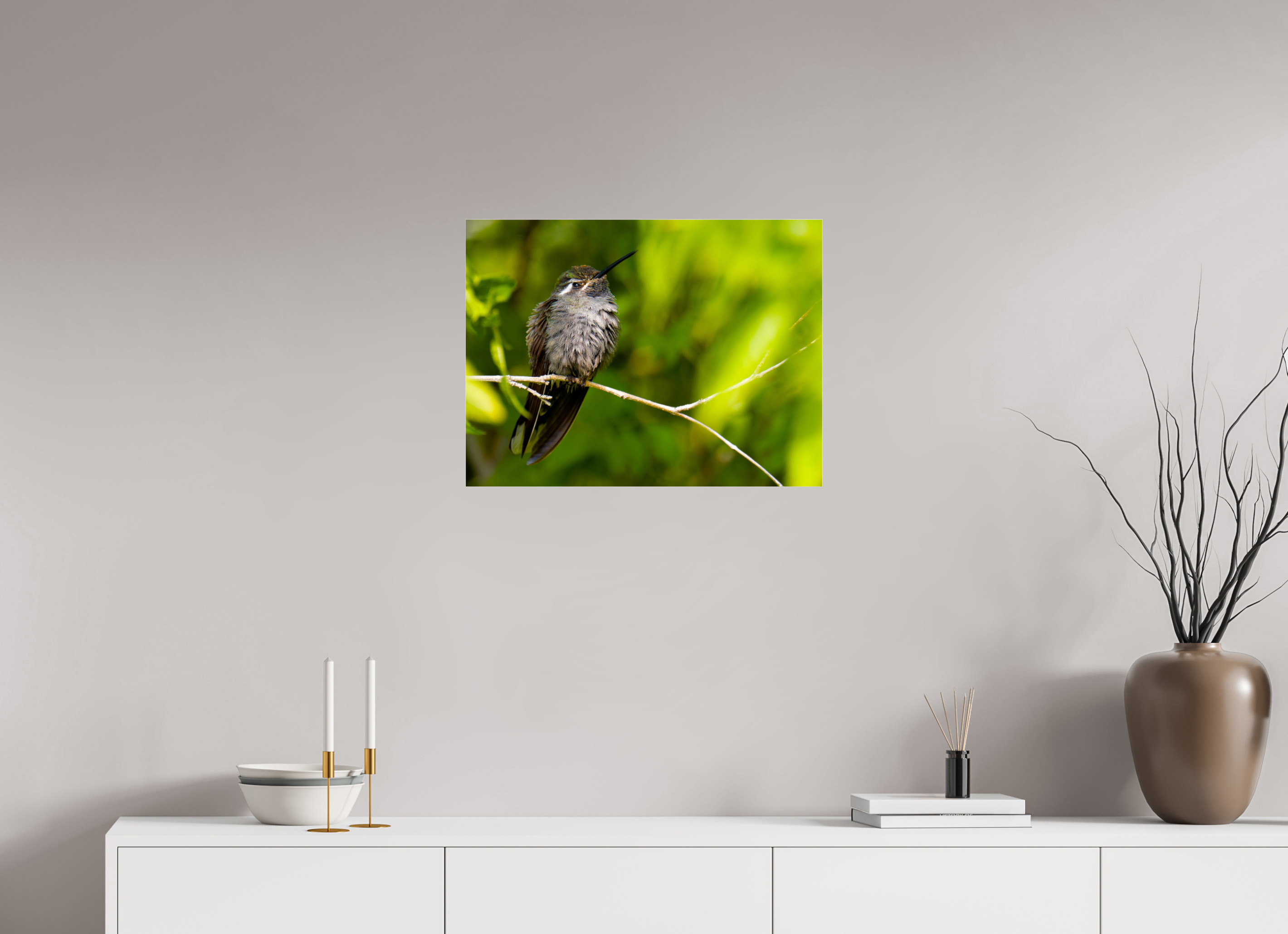 24 x 18″, Photo Print Under Acrylic Glass Blue Throated Mountain Gem Hummingbird in a Bush