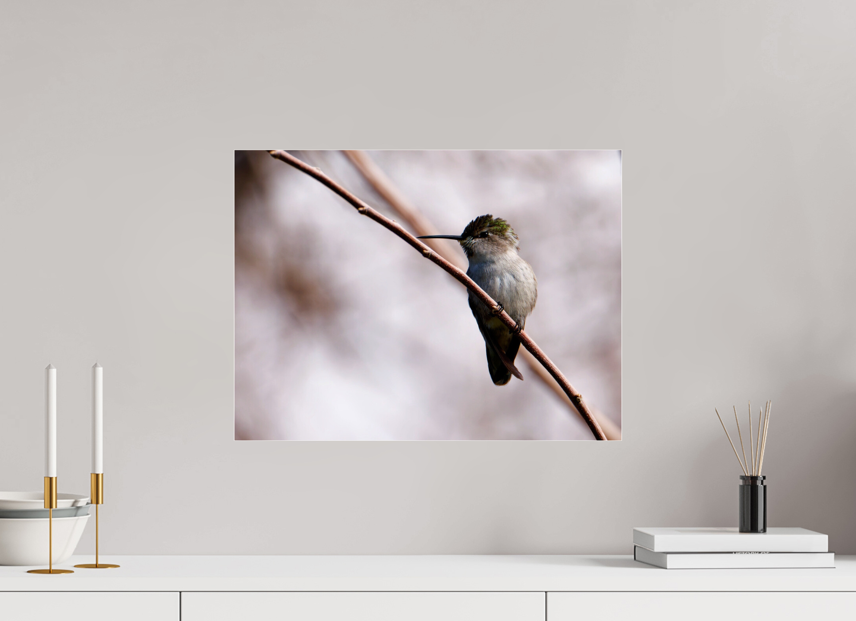 20 x 15″, Photo Print Under Acrylic Glass Costa's Hummingbird Wide