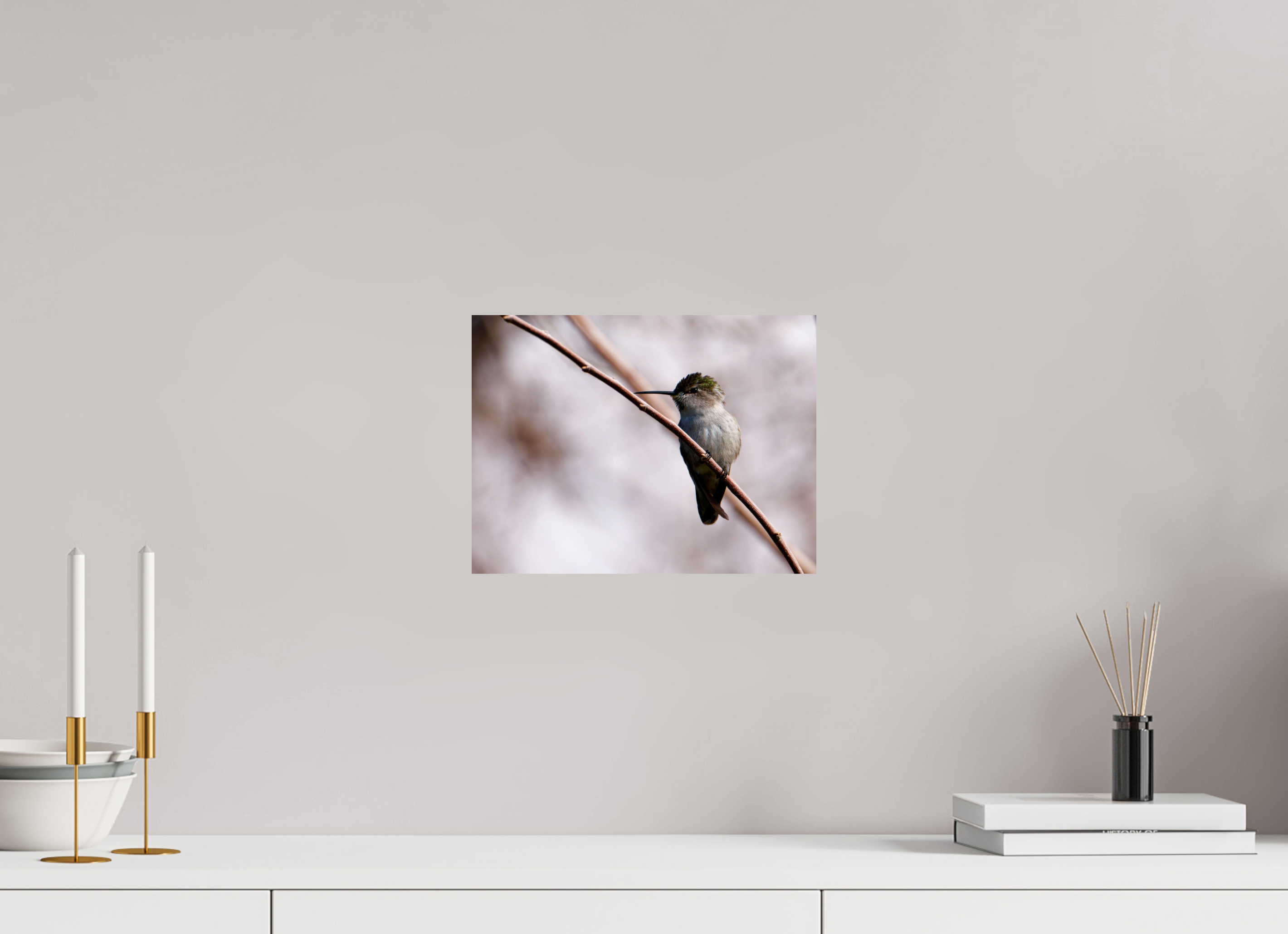 12 x 9″, Photo Print On Fuji Crystal DP II Costa's Hummingbird Wide