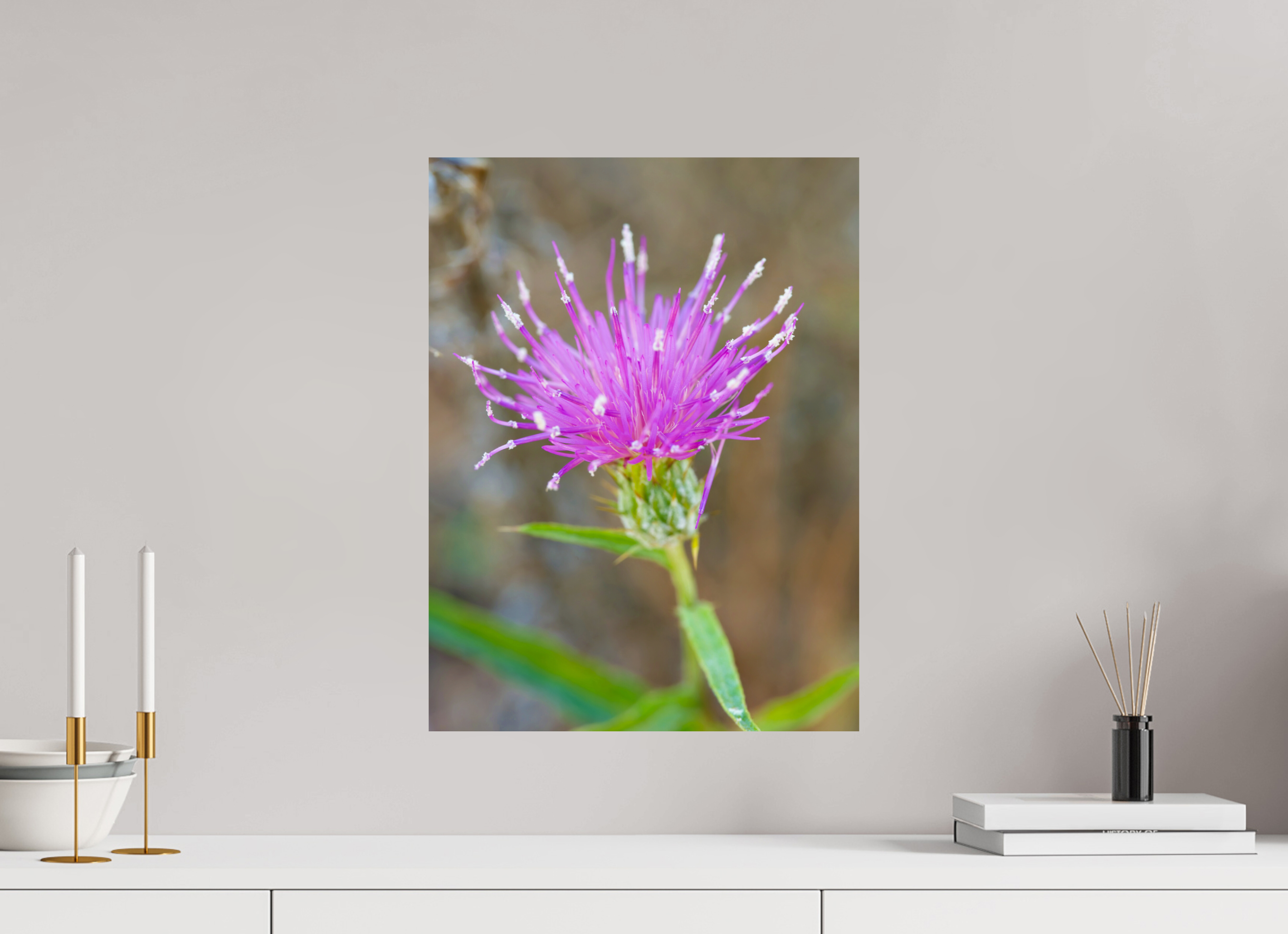 15 x 20″, Metalic Photo Print on Fuji Crystal Pearl Purple Thistle