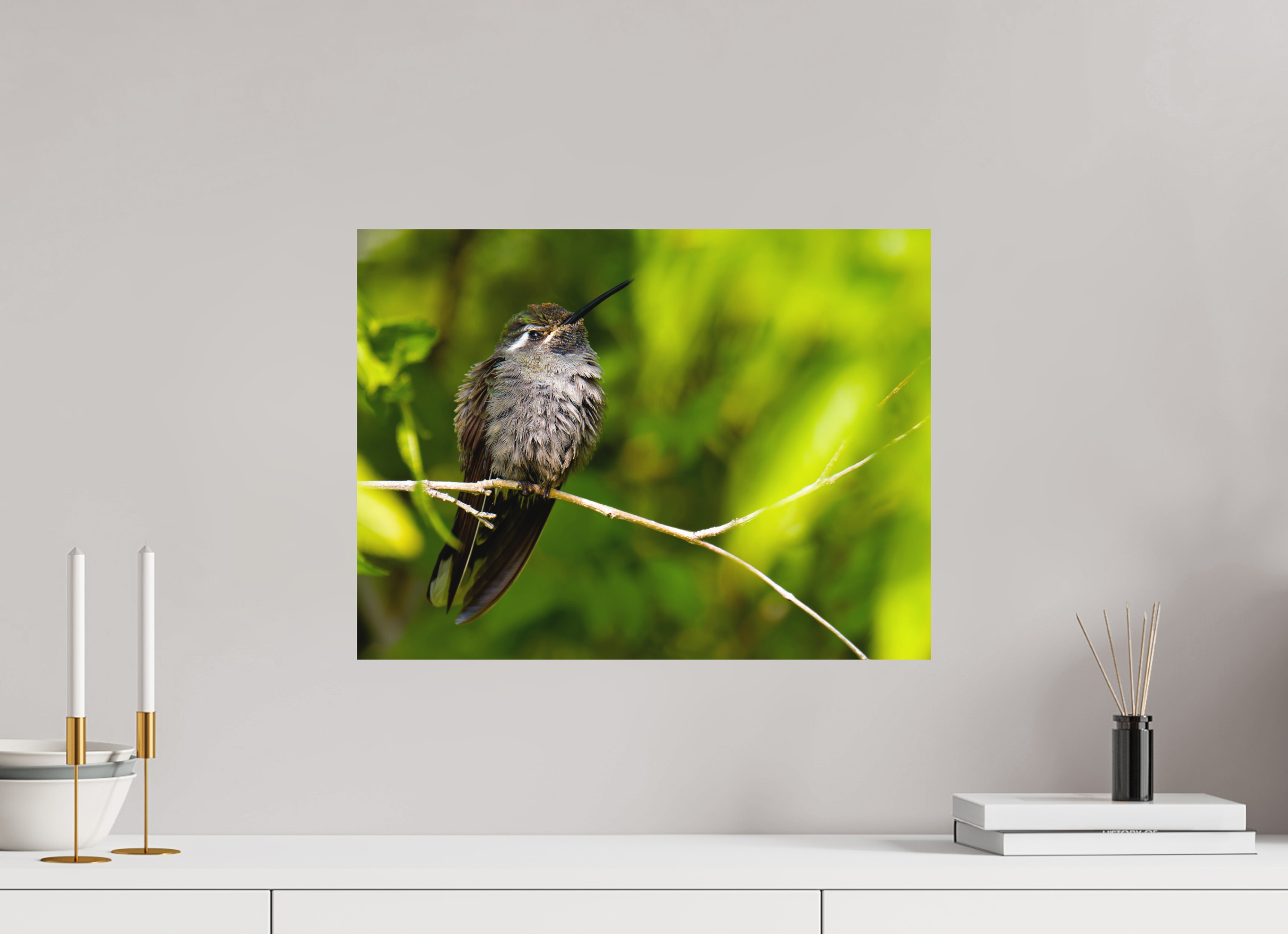 20 x 15″, Fuji Crystal Archive, matte Blue Throated Mountain Gem Hummingbird in a Bush