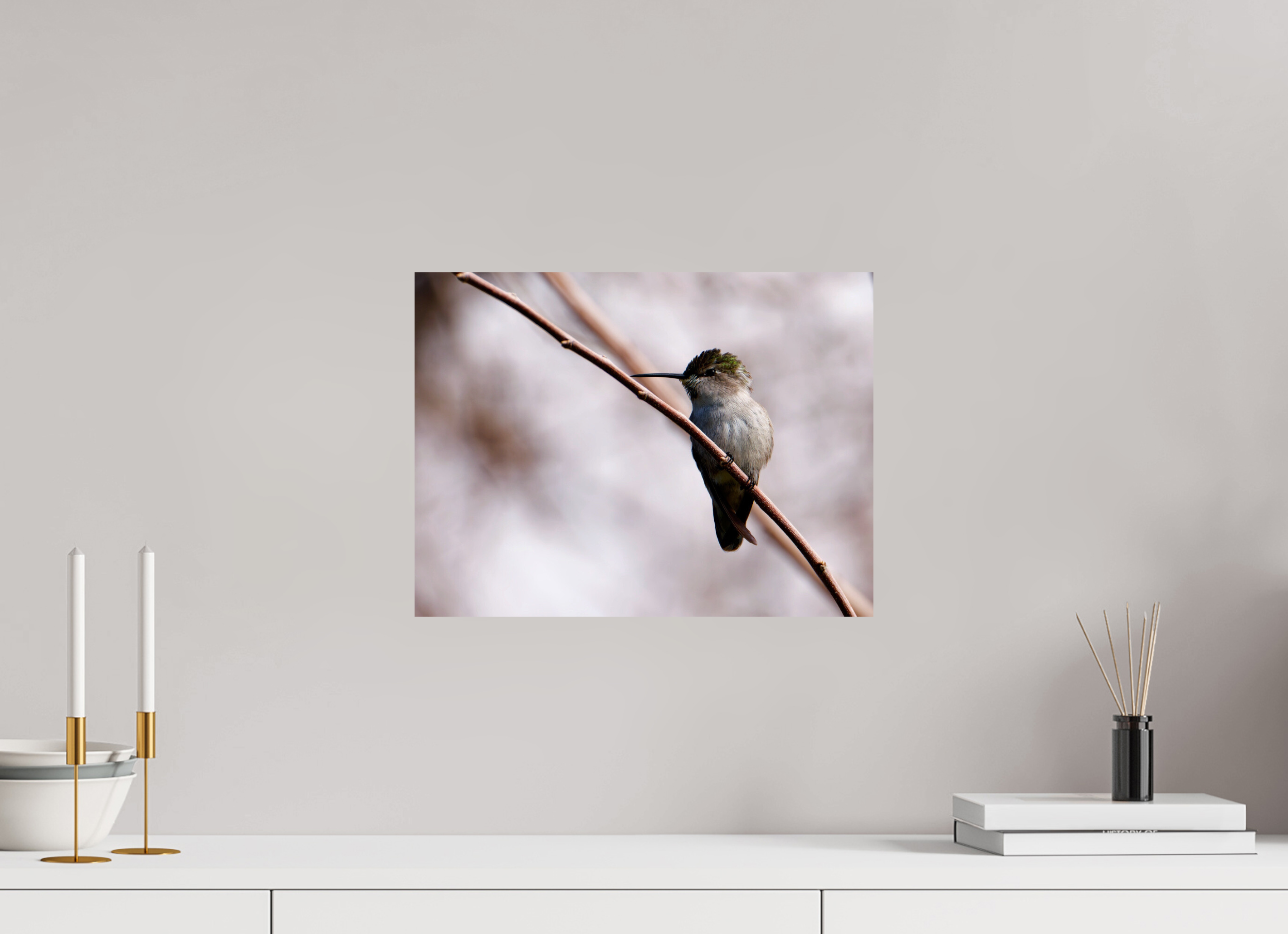 16 x 12″, Photo Print On Fuji Crystal DP II Costa's Hummingbird Wide