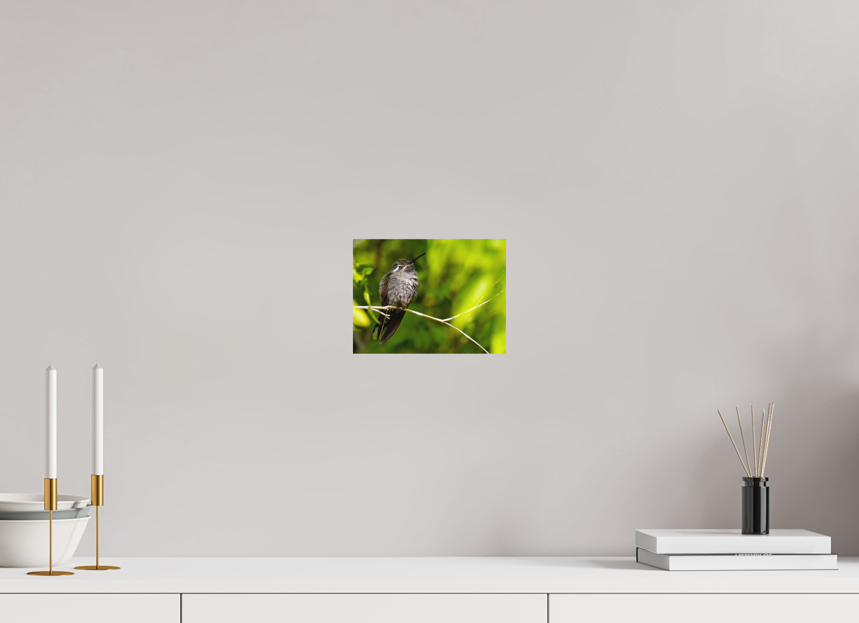 8 x 6″, Fuji Crystal Archive, matte Blue Throated Mountain Gem Hummingbird in a Bush