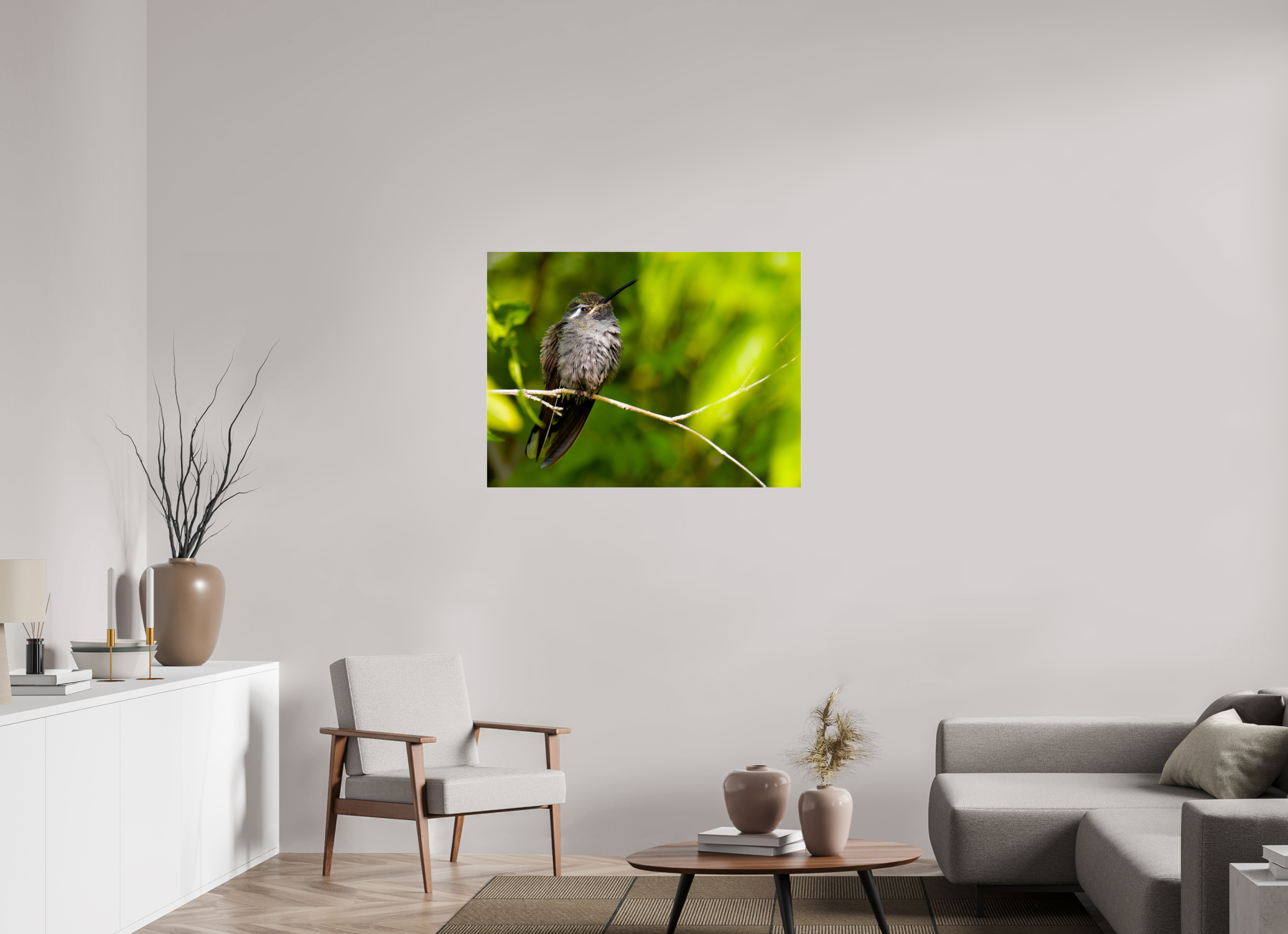 40 x 30″, Photo Print Under Acrylic Glass Blue Throated Mountain Gem Hummingbird in a Bush