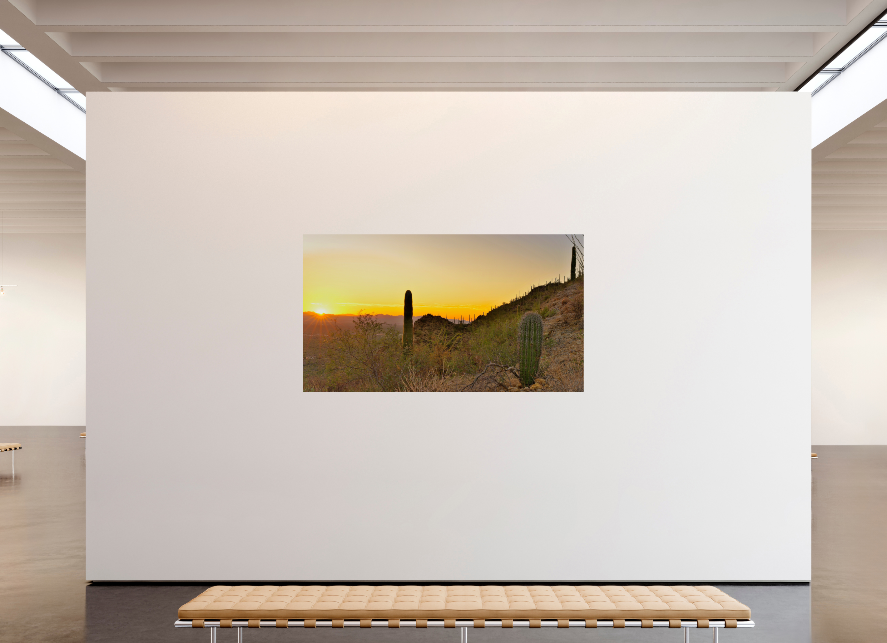 80 x 45″, Photo Print On Fuji Crystal DP II Saguaro National Park Sunset